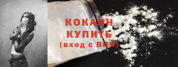 шишки Нефтегорск