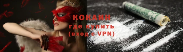 шишки Нефтегорск