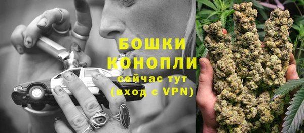 мдпв Нея