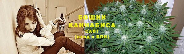 шишки Нефтегорск