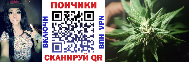 Бошки Шишки OG Kush  Купить закладки  Демидов 